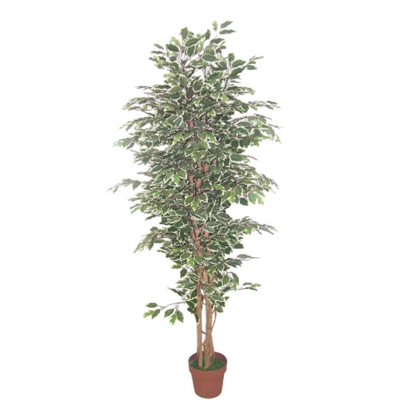 FICUS Τεχνητο Φυτο POLYESTER PE⁄PP Πρασινο H170cm