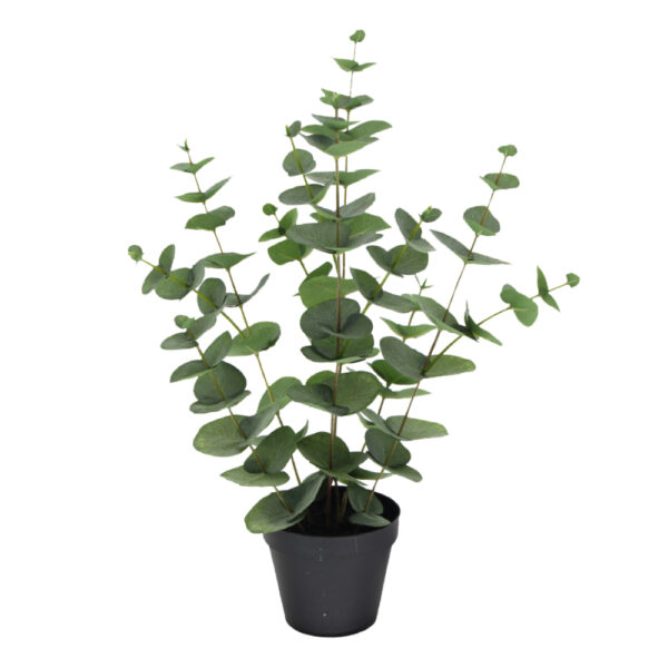 EUCALYPTUS Τεχνητο Φυτο POLYESTER PE⁄PP Πρασινο H49cm