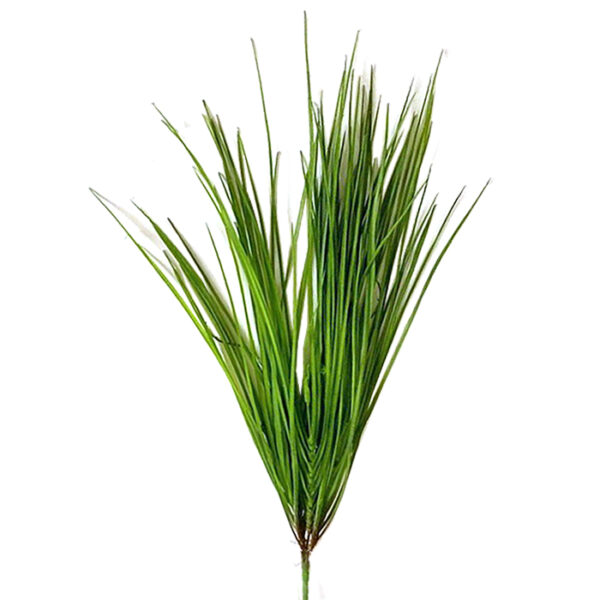 Monkey grass, 52cm