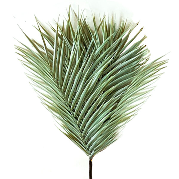 Φύλλα Φοίνικα “Areca “σε Μάτσο,52cm