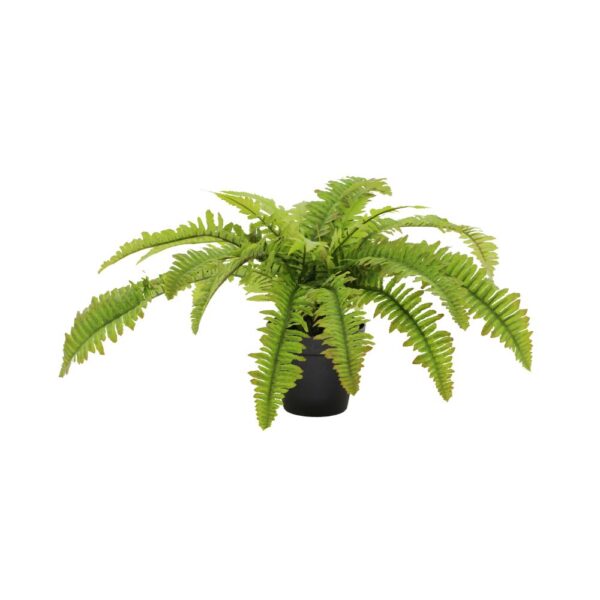 BOSTON FERN Τεχνητο Φυτο POLYESTER PE⁄PP Πρασινο H36cm