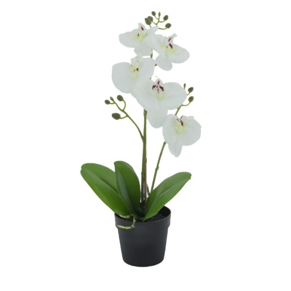 ORCHID 3 Τεχνητο Φυτο PE⁄PP PEVA Λευκο Πρασινο H35cm