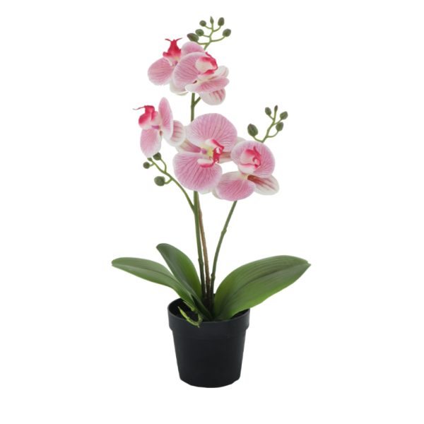 ORCHID 1 Τεχνητο Φυτο PE⁄PP PEVA Ροζ Πρασινο H35cm