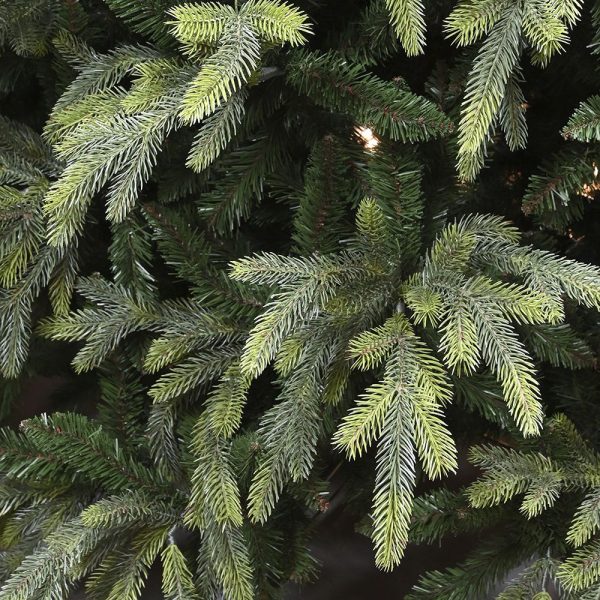 Δεντρο FRASER FIR 240εκ