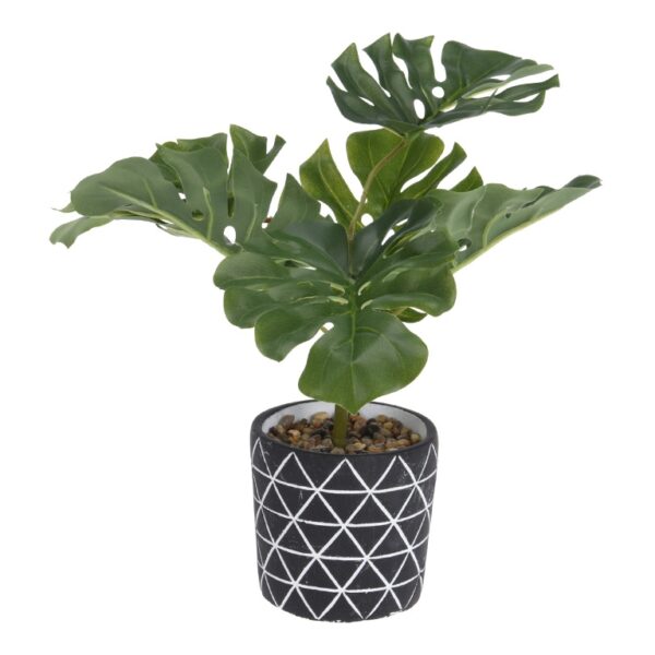 Τεχνητά Φυτά & Κασπώ PLANT IN CEMENT POT 26XH32CM 837900140