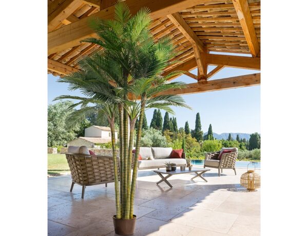 Τεχνητά Φυτά & Κασπώ BIG PALMTREE 5 TRUNCS 3.6M 168525