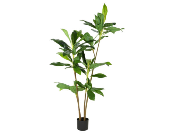 Τεχνητά Φυτά & Κασπώ DECO ARTIF DRACAENA 175CM 318000870