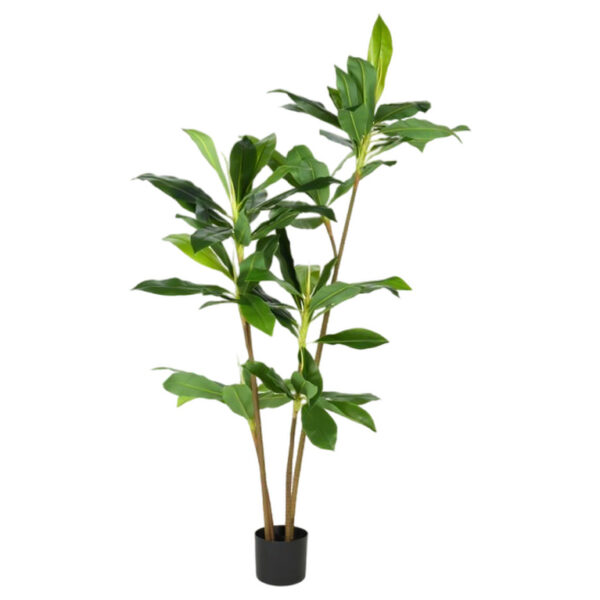 Τεχνητά Φυτά & Κασπώ DECO ARTIF DRACAENA 175CM 318000870