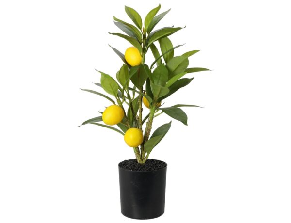 Τεχνητά Φυτά & Κασπώ LEMON TREE IN POT NB1720400