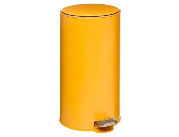 Κάδοι Απορριμάτων DUSTBIN METAL 30L OCHRE DELTA FIVE 164753E