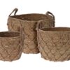 Καλάθια BASKET SET CATTAIL LEAF ROUND KR2002610