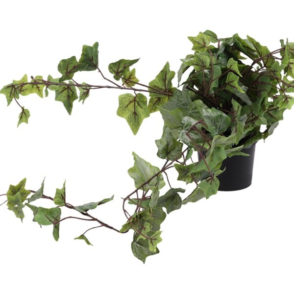 Τεχνητά Φυτά & Κασπώ HANG PLANT IN PP POT 80CM 317221280