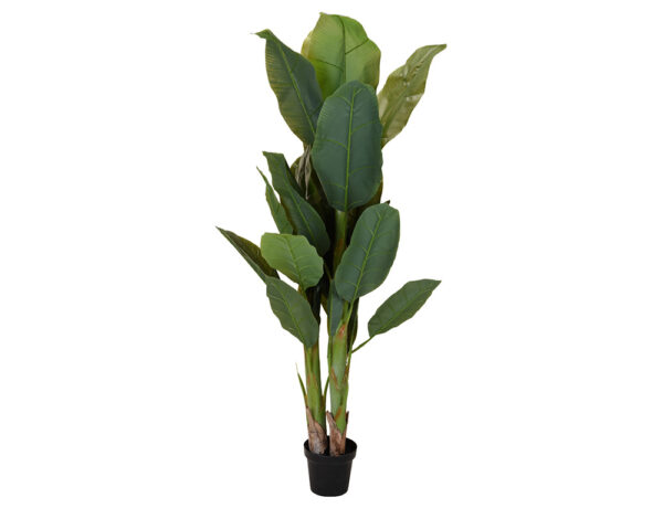 Τεχνητά Φυτά & Κασπώ DECO PLANT IN POT 165CM 318000690